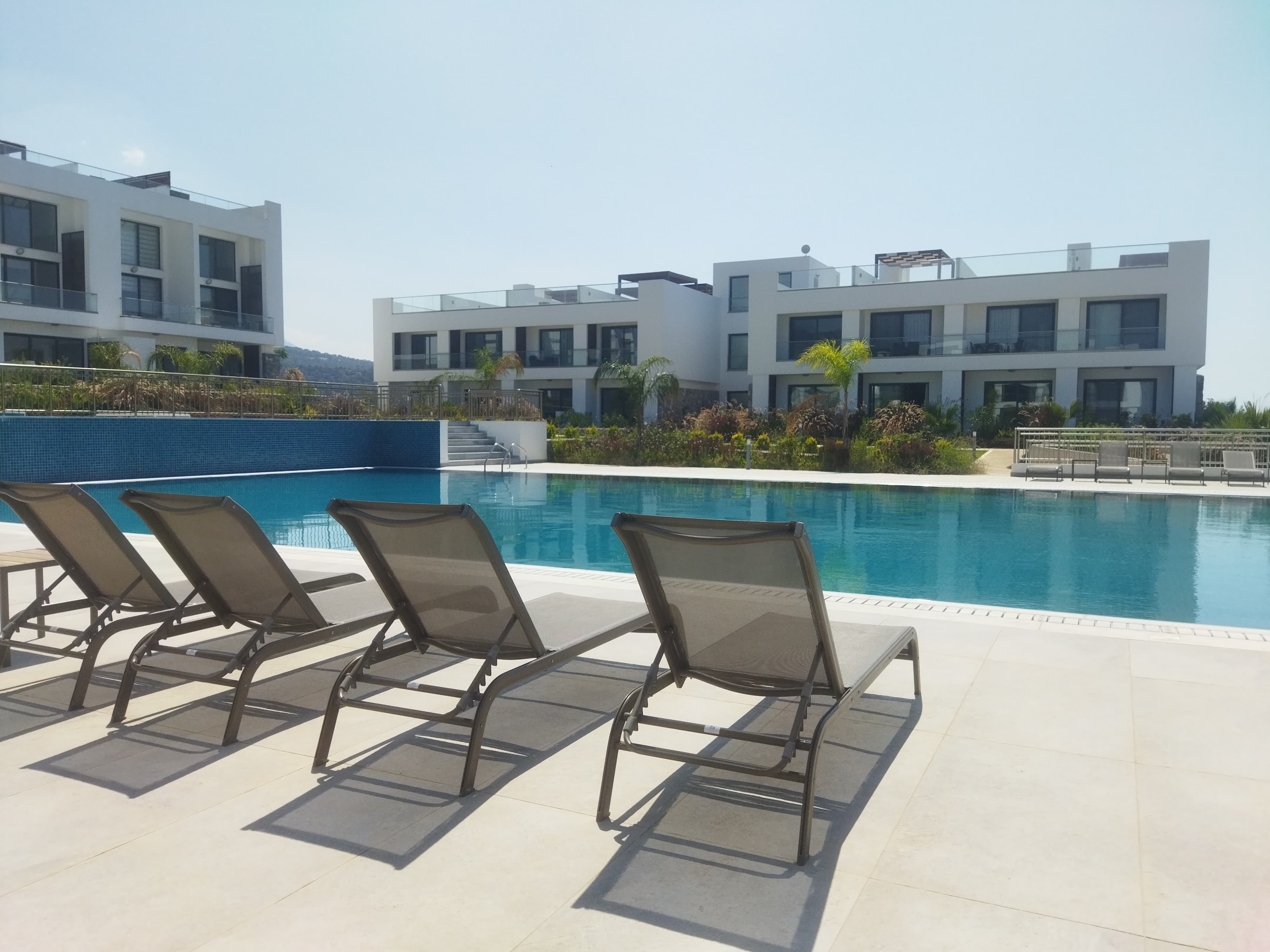 Společný bazén s lehátky